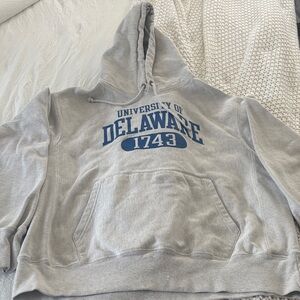 Champion Gray University of Delaware Hoodie